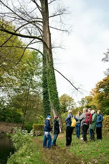 A la découverte des arbres du parc de Tours et Taxis / Op ontdekkingstocht naar de bomen in het park van Tours en Taxis