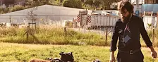Ville-Campagne : visite des dernières prairies intra urbaines de Bruxelles