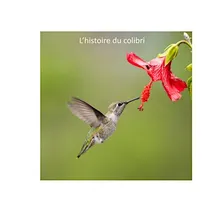 L'histoire du colibri et la pêche aux déchets / Het verhaal van de kolibrie en het vissen op afval