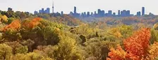 Parks Canada & 10,000 Trees, Site Setup, Sat. Oct. 17, 2026 - 8 AM-2 PM