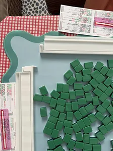 Mahjong 101 Lesson