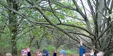 Day Camp, Sticks, Stories and Sparks - Sutton Courtenay, Wednesday 28 October