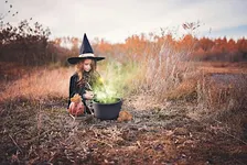 Halloween Trail: The Wild Witch - Nature Discovery Centre, Friday 30 October