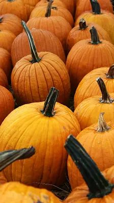 Fall Fest for Ronald McDonald House