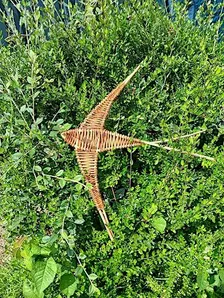 Willow Swift Workshop