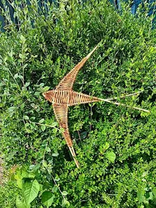 Willow Swift Workshop