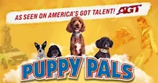 Puppy Pals LIVE - Let's Party!