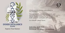 Inner Dynamics Flow