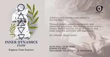 Inner Dynamics Flow
