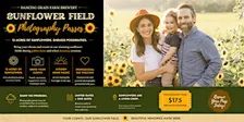 Sunflower Field Photography Passes