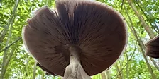 Nature Photography 101