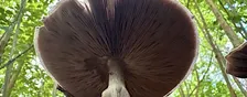 Nature Photography 101
