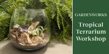 Tropical Terrarium Workshop at GARDENWORKS Colwood