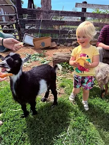 Mother’s Day Baby Goat & Bunny Bottle Feed & Farm Animal Social