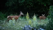 Sortie "La coopération, clé du vivant" à Zimmersheim