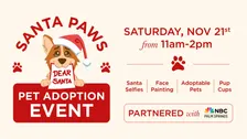 Santa Paws: A Pet Adoption Event in Indio