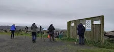 Autumn Birding in Ballykelly