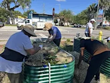 South Melbourne Food Forest - 4th Planting Day