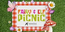 Fairy & Elf Picnic