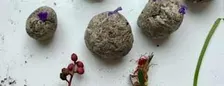 Atelier bombes à graines / Workshop zaadbommetjes