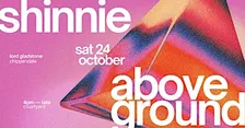 Shinnie Above Ground