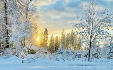 Preschool Nature Time | Winter is Coming!