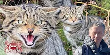 Linnean Edinburgh Lecture | Restoring Nature by Moving Species