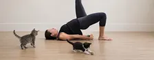 Purrs & Poses by Makin Biscuits Rescue