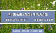 Wildflower Garden Preparation