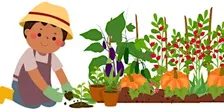 2026 Fall Beginning Gardening Series - The Sweet Truth About Growing Fruit