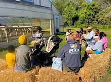 Storytime On the Farm with Author Brianna Ellis