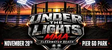 UNDER THE LIGHTS FIGHT SERIES