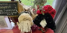 Make a Gnome with us at the Bloomin Cottage!