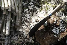 Traditional hedgelaying workshop