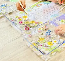 ArtLab: Oshibana Art (6+)