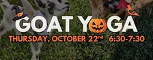 Goat Yoga: Halloween Edition!