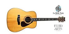 La Belle Note Music School: Guitar Basics