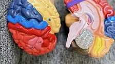 Workshop: Fotografare con il Cervello
