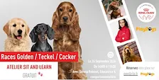 Atelier Sit & Learn - Races Teckel / Cocker / Golden