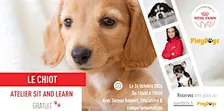 Atelier Sit & Learn - Chiot