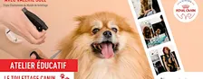 Apprendre le Toilettage Canin - Atelier éducatif avec Valérie SOLE