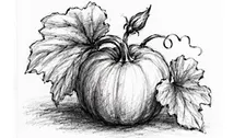 Charcoal  Pumpkin Drawing Class for Adults and Teens
