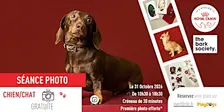 Atelier photos - Immortalisez-vous avec votre chien ou chat !