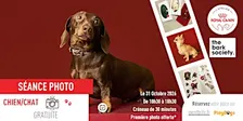 Atelier photos - Immortalisez-vous avec votre chien ou chat !