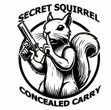 FREE Utah Concealed Carry Permit Class