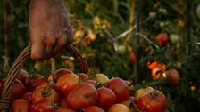 Il prezzo del lavoro, il valore delle persone