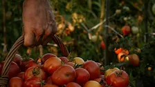 Il prezzo del lavoro, il valore delle persone