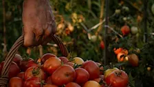 Il prezzo del lavoro, il valore delle persone