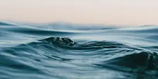 Inaugurazione “I sogni attraversano il mare”