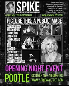 PICTURE THIS: A PUBLIC IMAGE — Opening Night